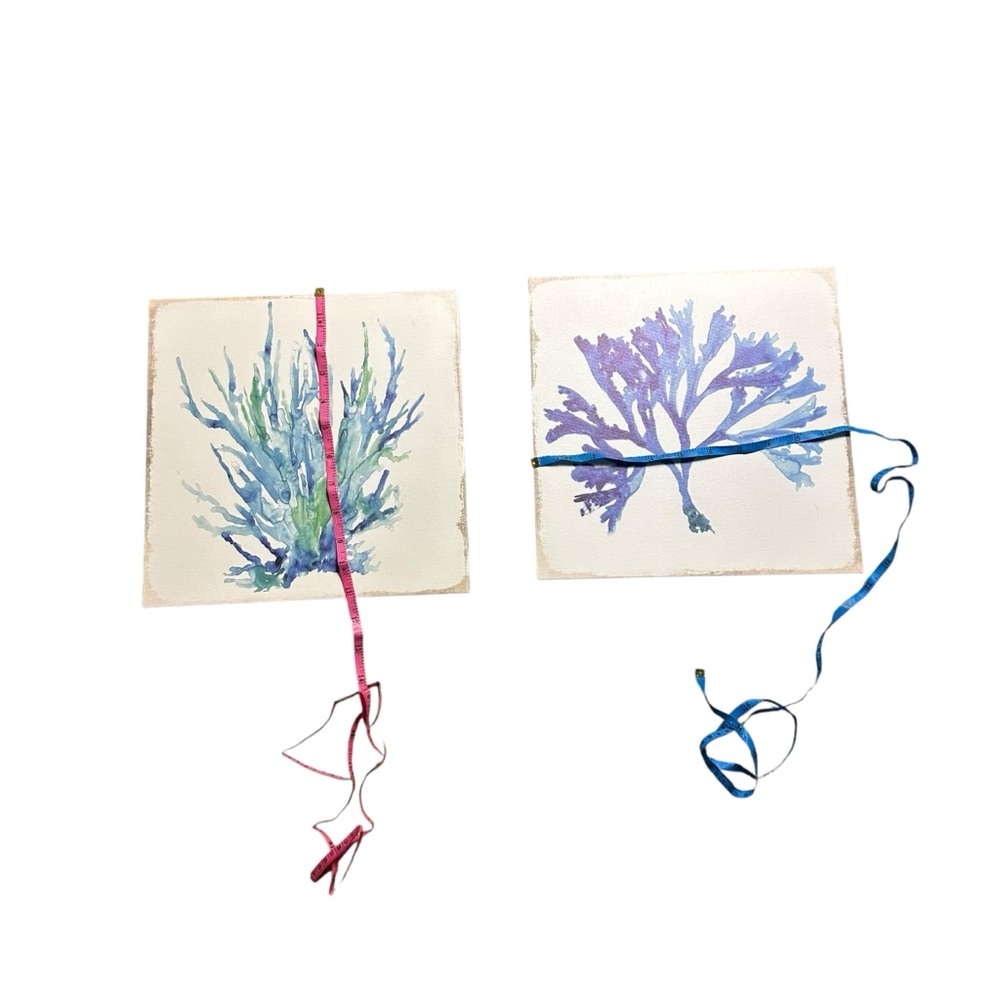 Set of Two Botanical Art Prints - Picture 5 of 15